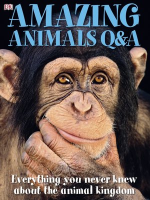 cover image of Amazing Animals Q & A
